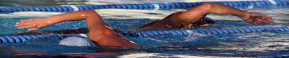 banner-swimming-training