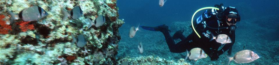 scuba, diving, training, μαθηματα καταδυσης,αυτονομη καταδυση
